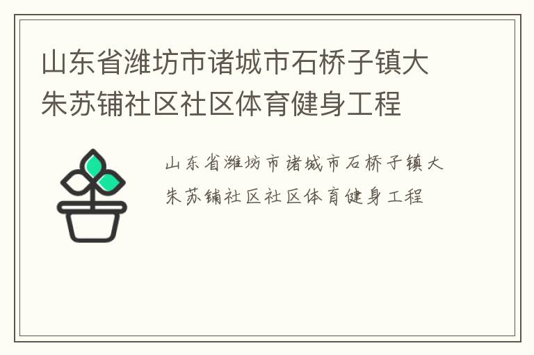 山东省潍坊市诸城市石桥子镇大朱苏铺社区社区体育健身工程