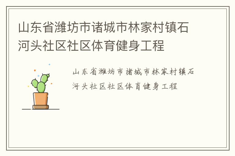 山东省潍坊市诸城市林家村镇石河头社区社区体育健身工程