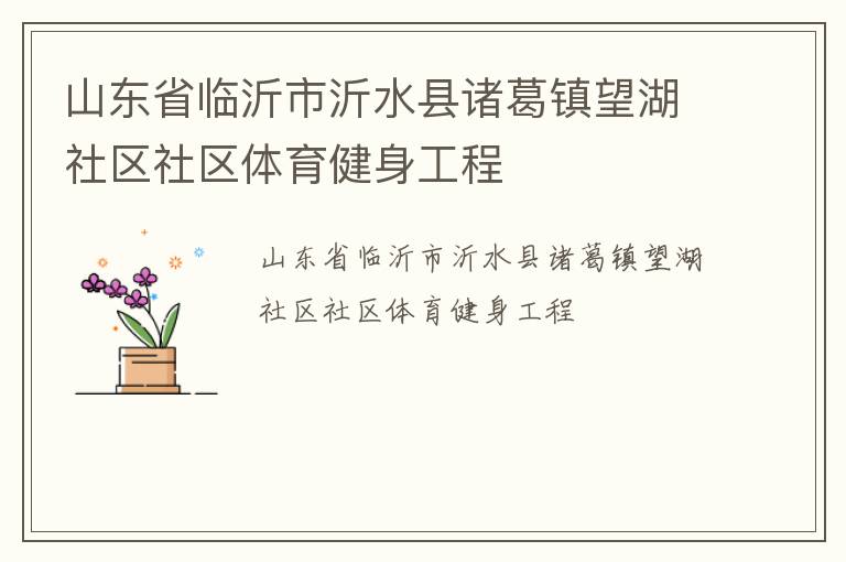 山东省临沂市沂水县诸葛镇望湖社区社区体育健身工程