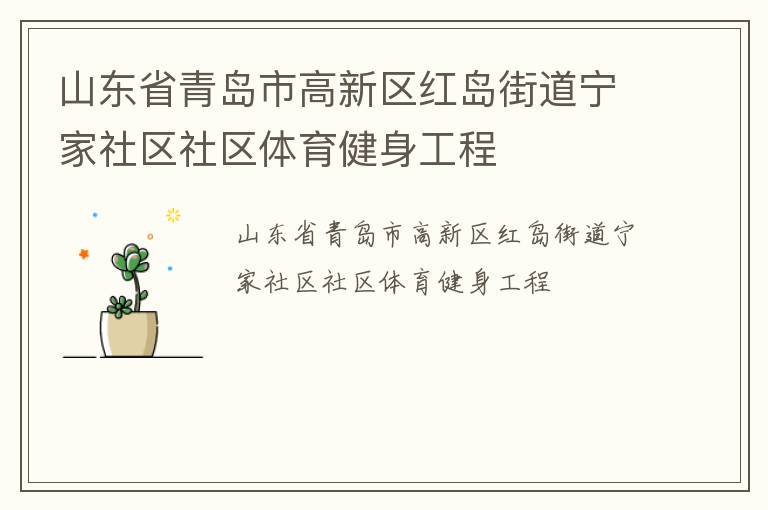 山东省青岛市高新区红岛街道宁家社区社区体育健身工程