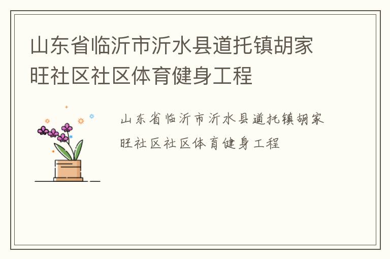 山东省临沂市沂水县道托镇胡家旺社区社区体育健身工程