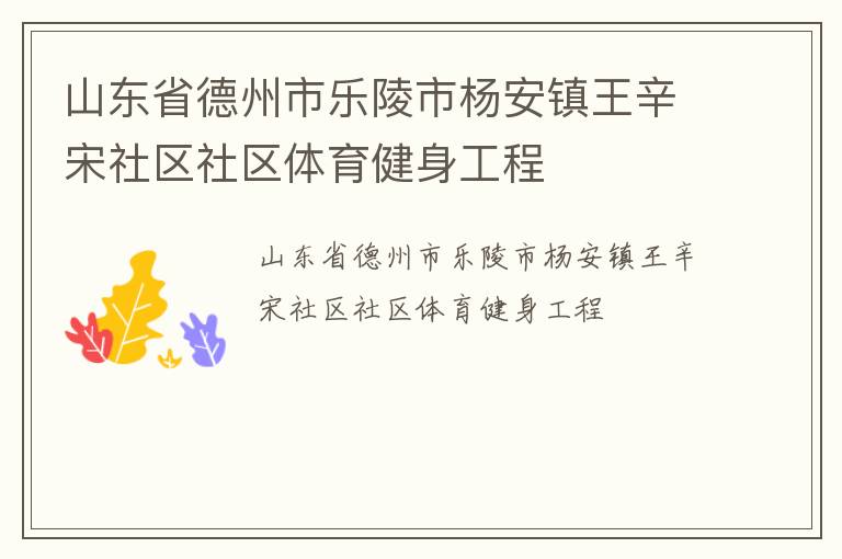 山东省德州市乐陵市杨安镇王辛宋社区社区体育健身工程