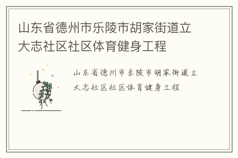山东省德州市乐陵市胡家街道立大志社区社区体育健身工程