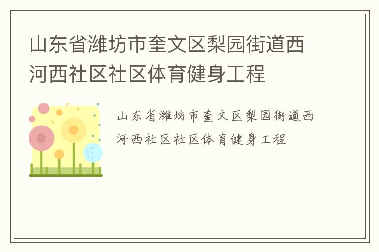 山东省潍坊市奎文区梨园街道西河西社区社区体育健身工程