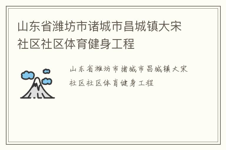 山东省潍坊市诸城市昌城镇大宋社区社区体育健身工程