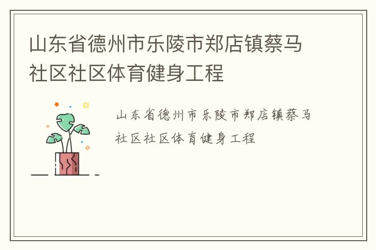 山东省德州市乐陵市郑店镇蔡马社区社区体育健身工程