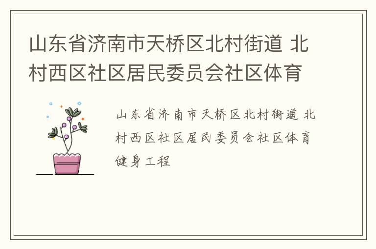 山东省济南市天桥区北村街道 北村西区社区居民委员会社区体育健身工程