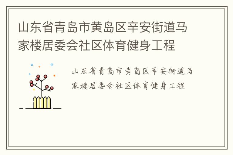 山东省青岛市黄岛区辛安街道马家楼居委会社区体育健身工程
