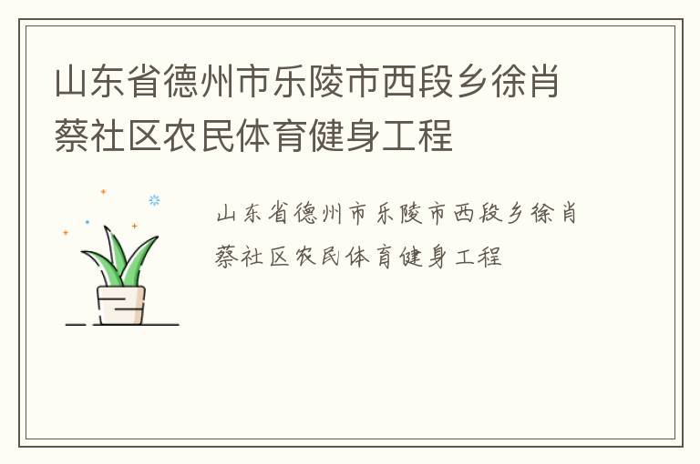 山东省德州市乐陵市西段乡徐肖蔡社区农民体育健身工程