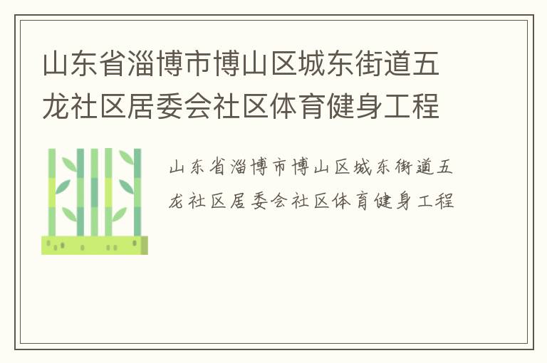 山东省淄博市博山区城东街道五龙社区居委会社区体育健身工程