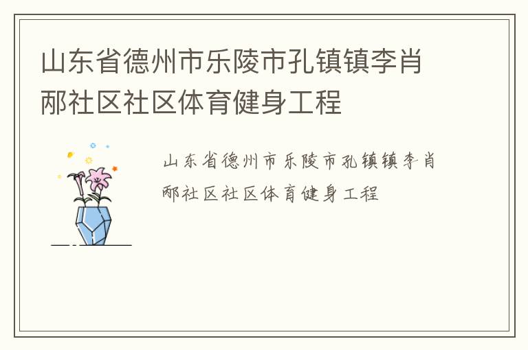 山东省德州市乐陵市孔镇镇李肖邴社区社区体育健身工程
