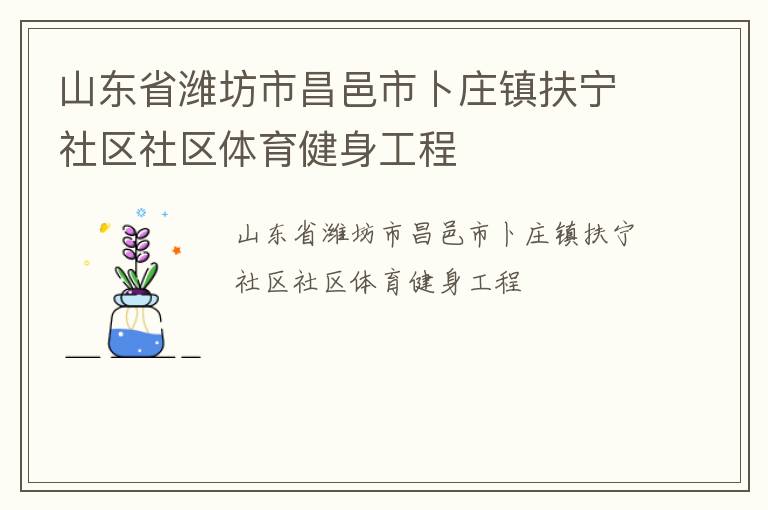 山东省潍坊市昌邑市卜庄镇扶宁社区社区体育健身工程
