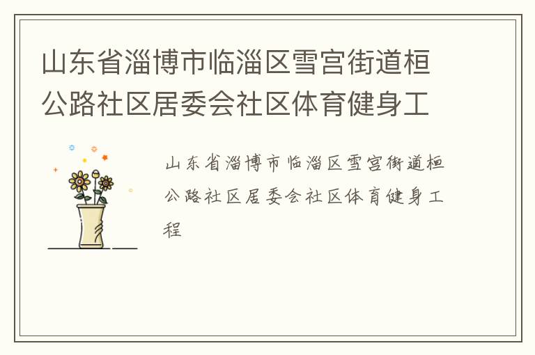山东省淄博市临淄区雪宫街道桓公路社区居委会社区体育健身工程