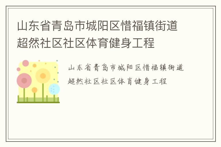 山东省青岛市城阳区惜福镇街道超然社区社区体育健身工程