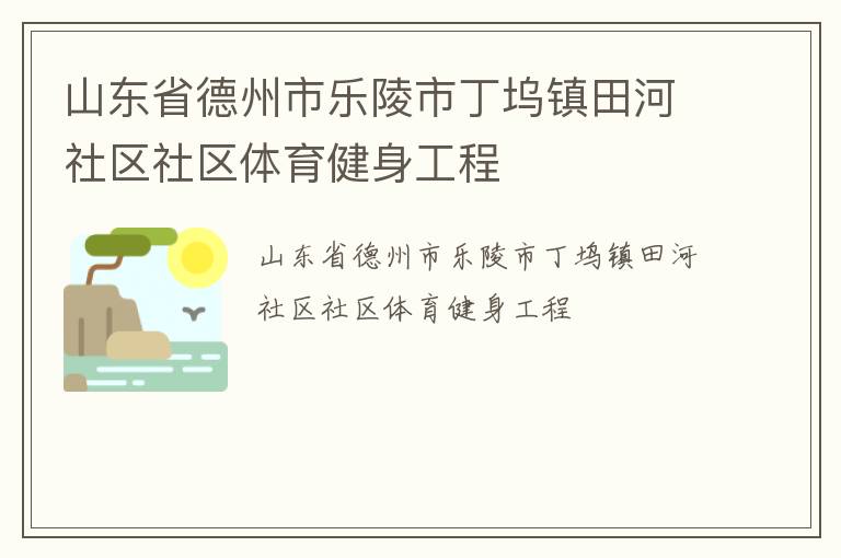 山东省德州市乐陵市丁坞镇田河社区社区体育健身工程