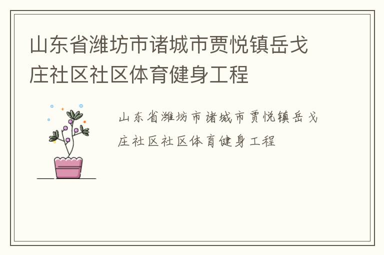 山东省潍坊市诸城市贾悦镇岳戈庄社区社区体育健身工程