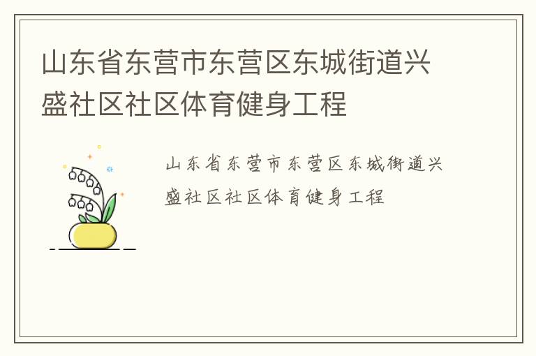 山东省东营市东营区东城街道兴盛社区社区体育健身工程