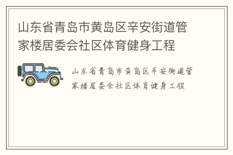 山东省青岛市黄岛区辛安街道管家楼居委会社区体育健身工程