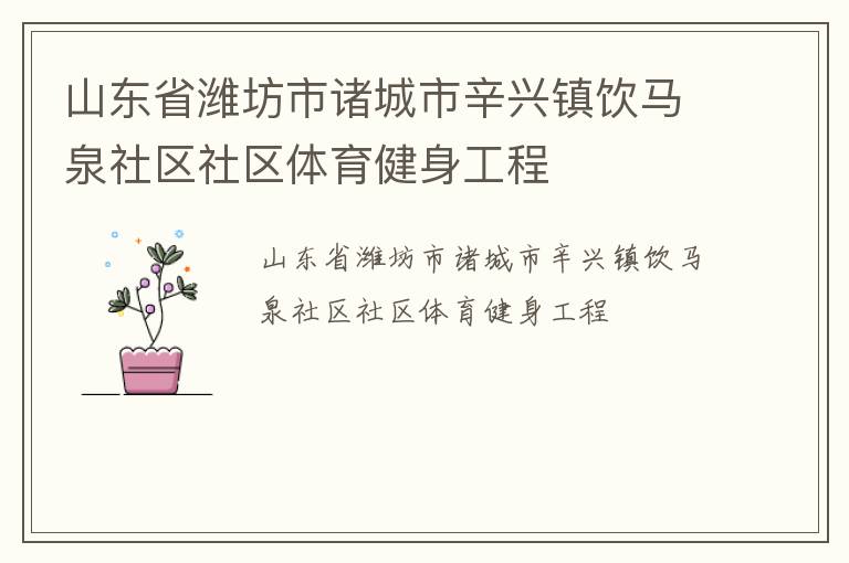 山东省潍坊市诸城市辛兴镇饮马泉社区社区体育健身工程