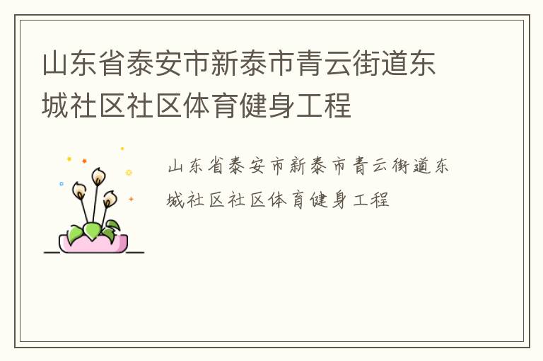 山东省泰安市新泰市青云街道东城社区社区体育健身工程