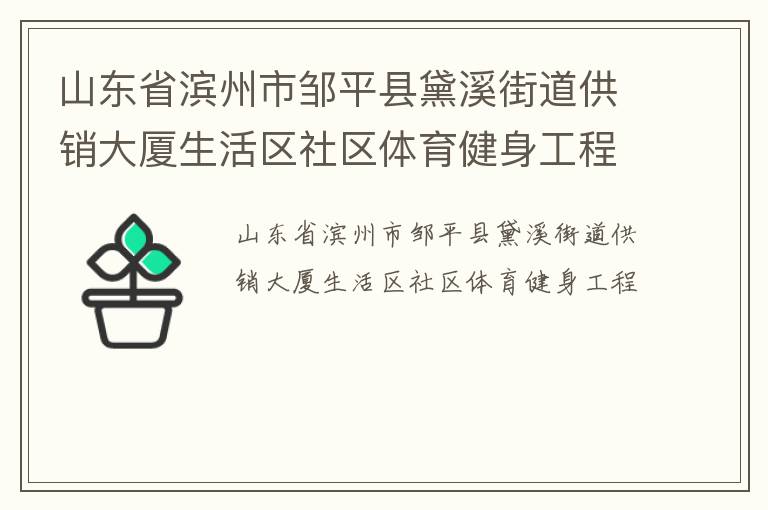 山东省滨州市邹平县黛溪街道供销大厦生活区社区体育健身工程
