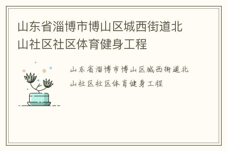 山东省淄博市博山区城西街道北山社区社区体育健身工程