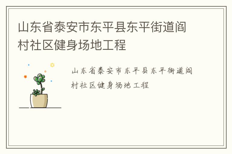 山东省泰安市东平县东平街道阎村社区健身场地工程
