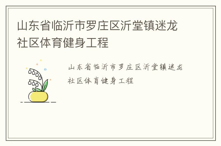 山东省临沂市罗庄区沂堂镇迷龙社区体育健身工程