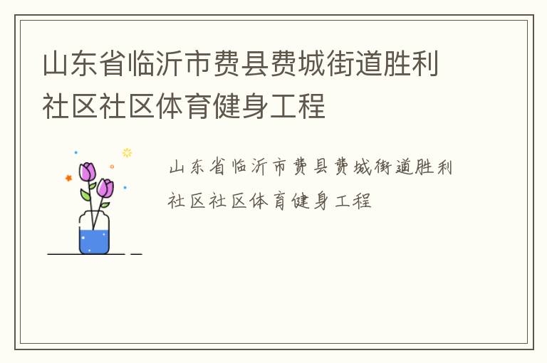 山东省临沂市费县费城街道胜利社区社区体育健身工程