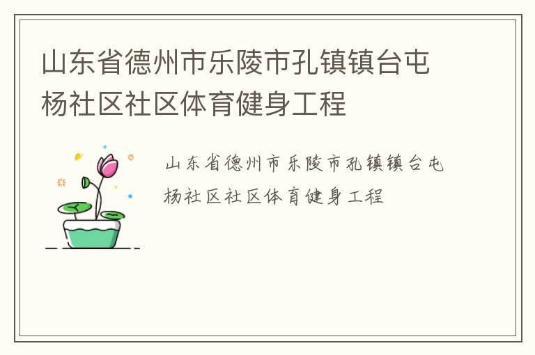 山东省德州市乐陵市孔镇镇台屯杨社区社区体育健身工程