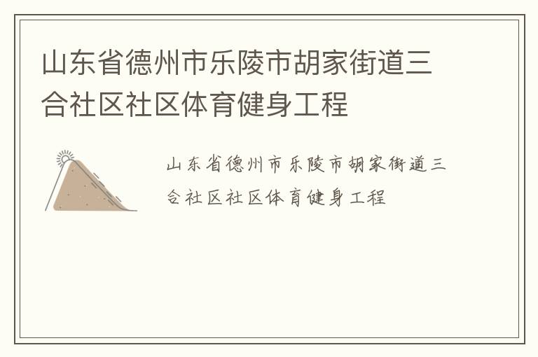 山东省德州市乐陵市胡家街道三合社区社区体育健身工程