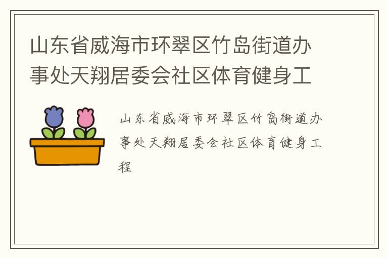 山东省威海市环翠区竹岛街道办事处天翔居委会社区体育健身工程