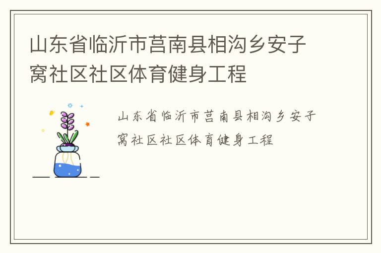 山东省临沂市莒南县相沟乡安子窝社区社区体育健身工程