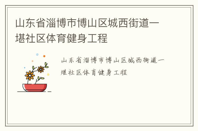 山东省淄博市博山区城西街道一堪社区体育健身工程