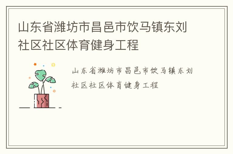 山东省潍坊市昌邑市饮马镇东刘社区社区体育健身工程