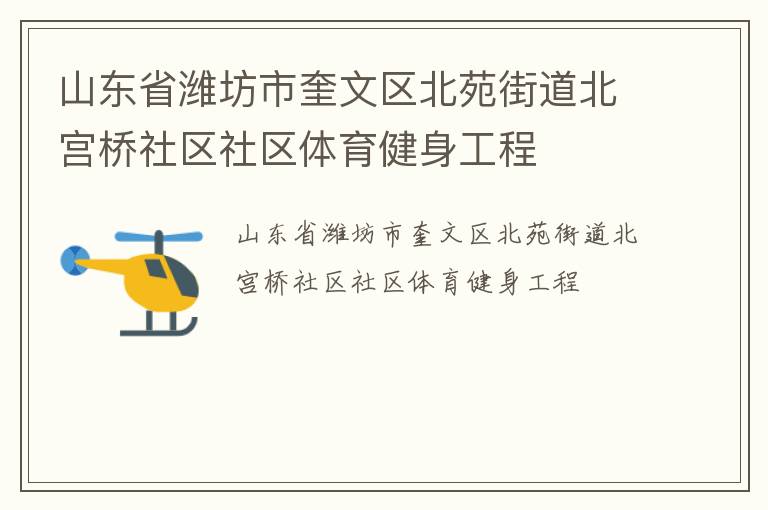 山东省潍坊市奎文区北苑街道北宫桥社区社区体育健身工程