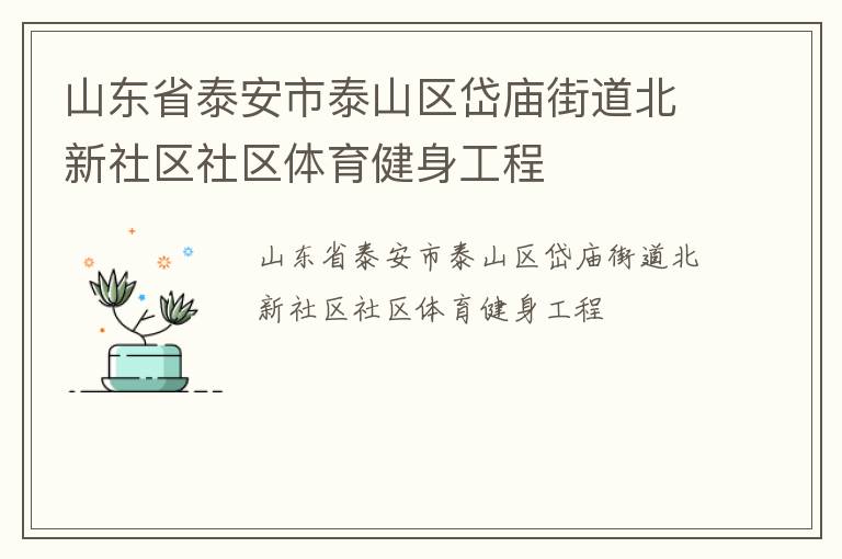 山东省泰安市泰山区岱庙街道北新社区社区体育健身工程