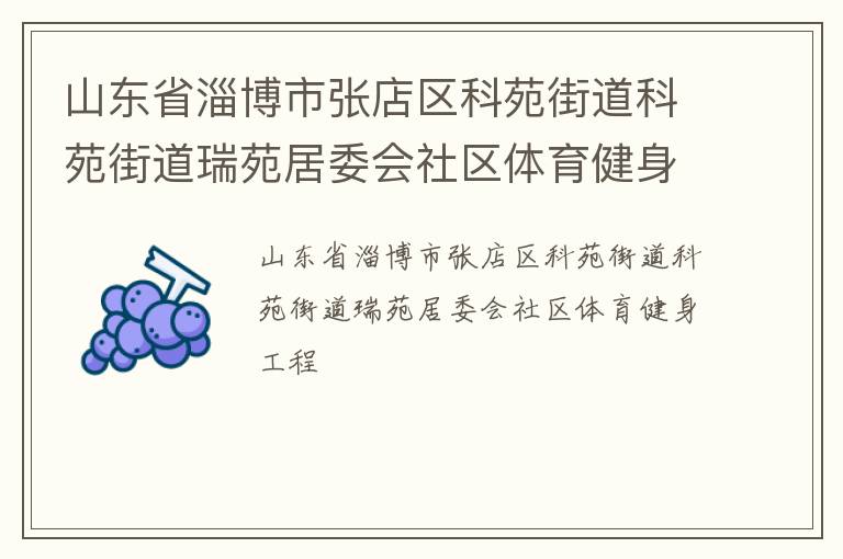山东省淄博市张店区科苑街道科苑街道瑞苑居委会社区体育健身工程