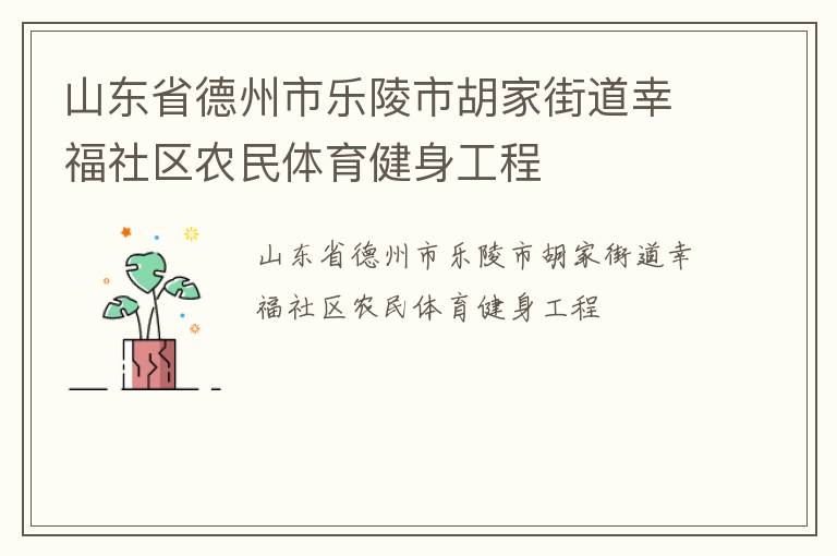 山东省德州市乐陵市胡家街道幸福社区农民体育健身工程