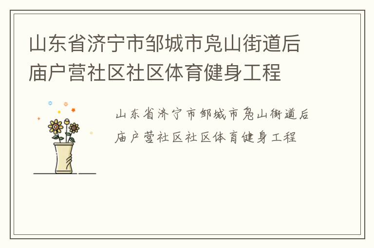 山东省济宁市邹城市凫山街道后庙户营社区社区体育健身工程