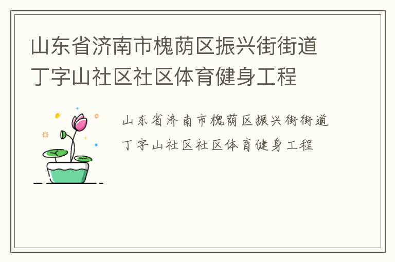 山东省济南市槐荫区振兴街街道丁字山社区社区体育健身工程