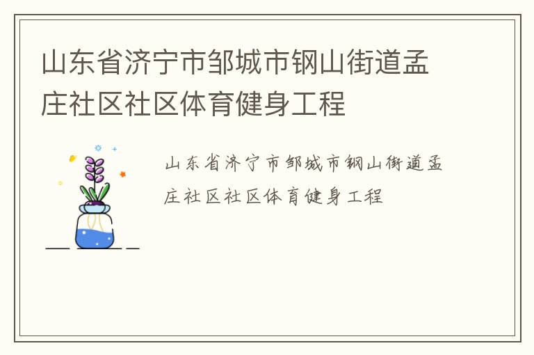 山东省济宁市邹城市钢山街道孟庄社区社区体育健身工程