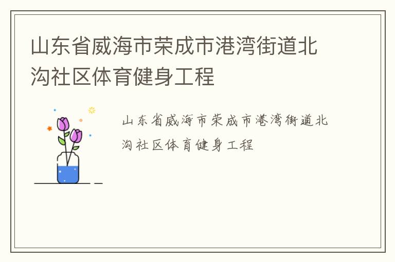 山东省威海市荣成市港湾街道北沟社区体育健身工程
