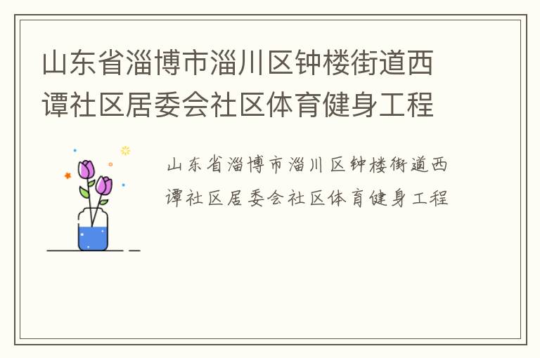 山东省淄博市淄川区钟楼街道西谭社区居委会社区体育健身工程