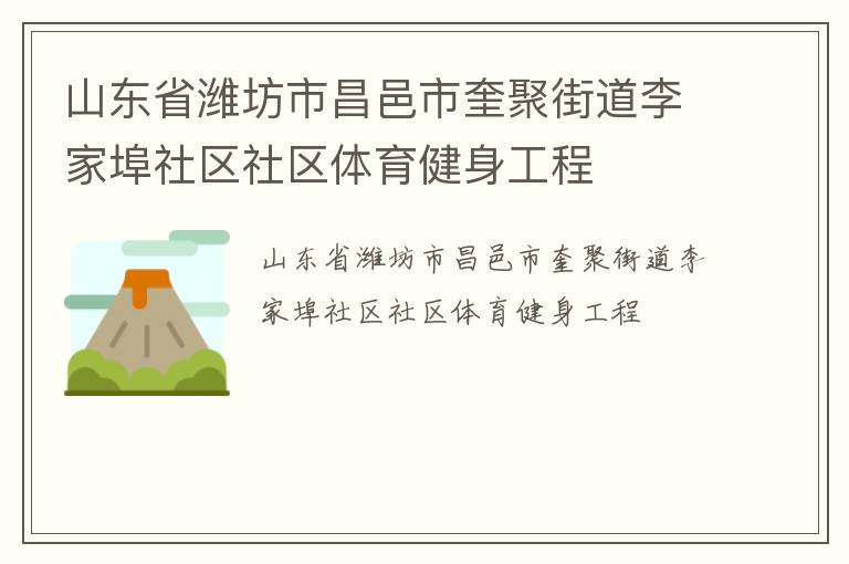 山东省潍坊市昌邑市奎聚街道李家埠社区社区体育健身工程