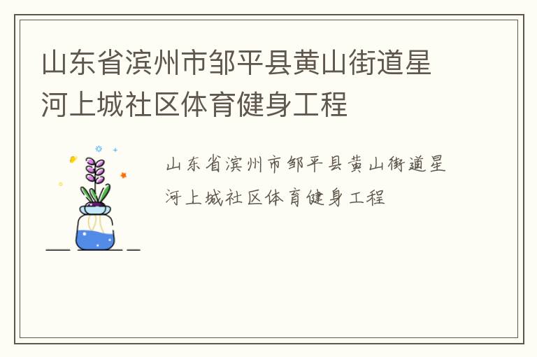 山东省滨州市邹平县黄山街道星河上城社区体育健身工程