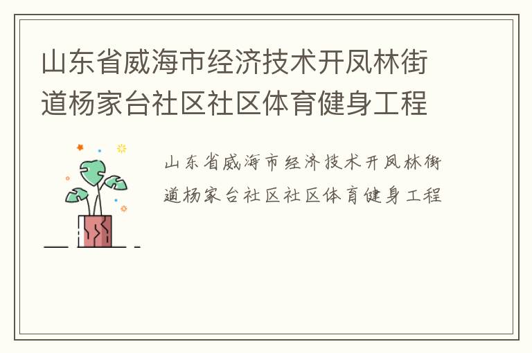 山东省威海市经济技术开凤林街道杨家台社区社区体育健身工程