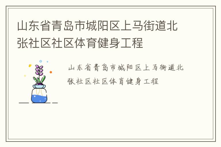 山东省青岛市城阳区上马街道北张社区社区体育健身工程