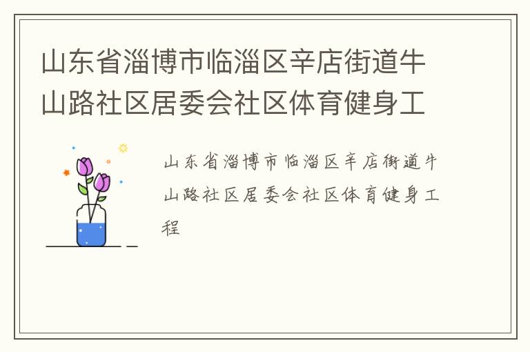 山东省淄博市临淄区辛店街道牛山路社区居委会社区体育健身工程