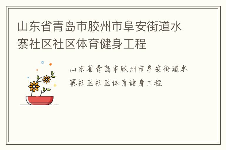 山东省青岛市胶州市阜安街道水寨社区社区体育健身工程